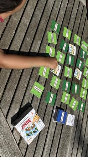 Asterix: Remember (French)