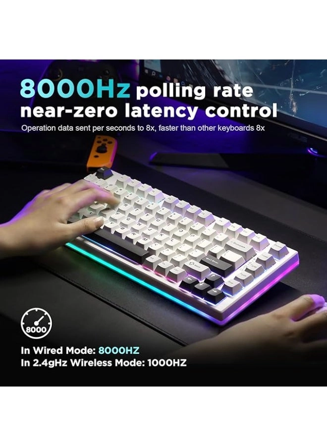 RT80 - Bluetooth/2.4GHz/Wired