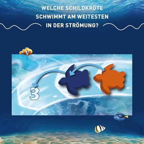 Australis: In the SOG of the current