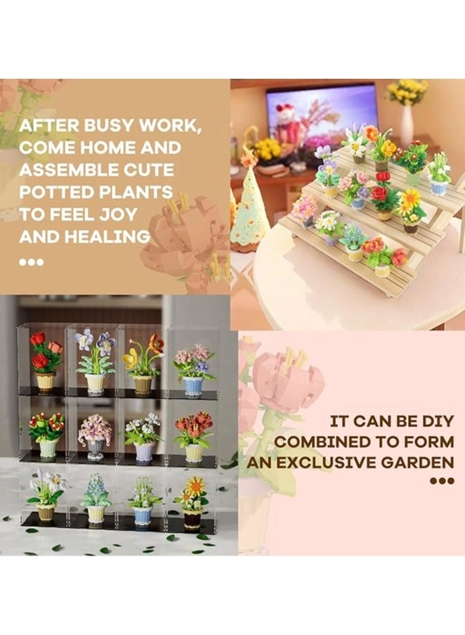 Mini Flower Pot - Black Prince 165pcs