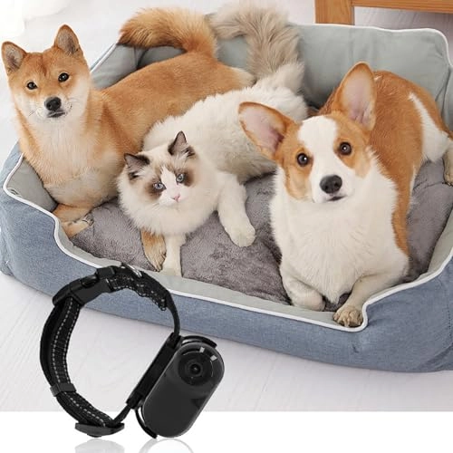 Pet Collar Camera - Approx. 63.8x31x21mm / 2.51x1.22x0.83in Cat