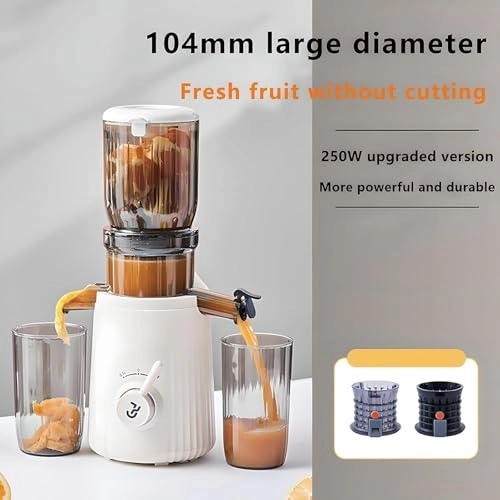 Cold Press Juicer - 250W 1L