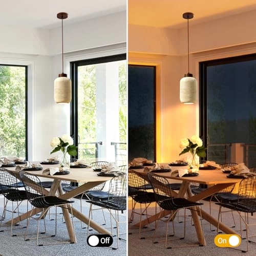 Wabi Sabi Pendant Light