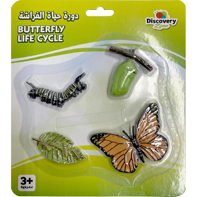 Non Branded Life Cycle of Butterfly Insect - 4 years+ 4 pieces