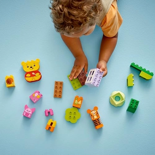 Disney Winnie the Pooh’s Birthday Party