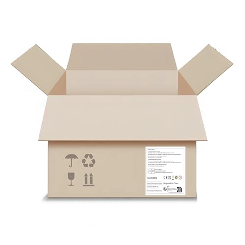 Acrylic Display Case - Ewok Wicket