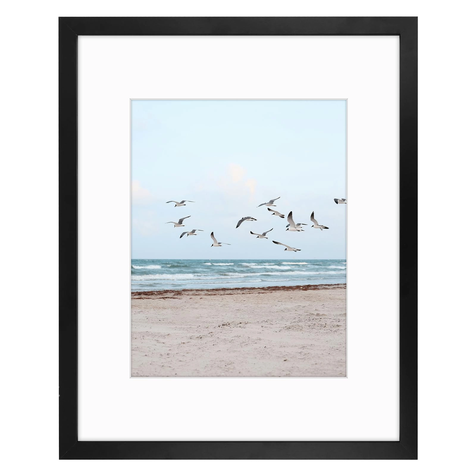 frametory Single Picture Frame - 11x14 1 Count