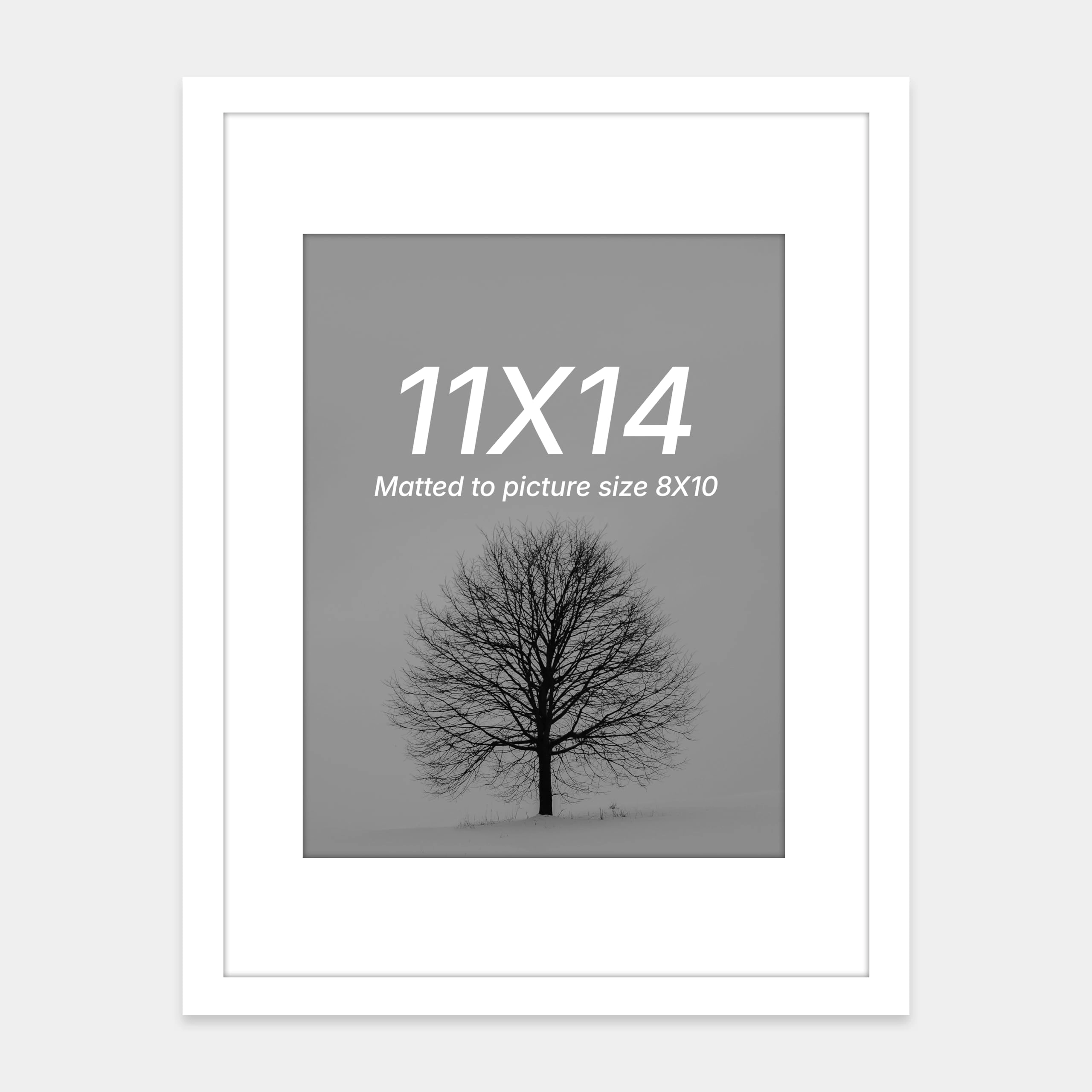 Document Frame - 11x14 Inch