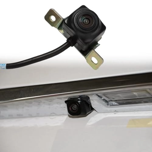 T21-7900301 - Night vision