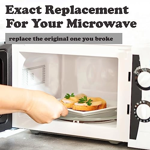 Microwave Glass Plate - 10.5 inches