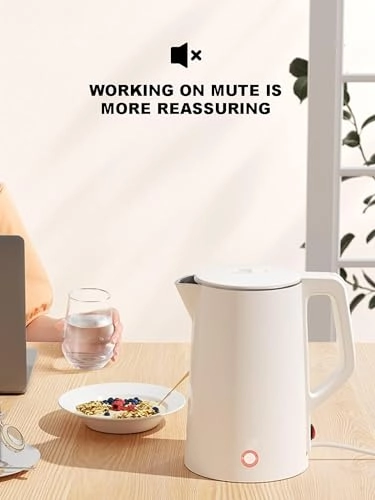 Stainless Steel Kettle