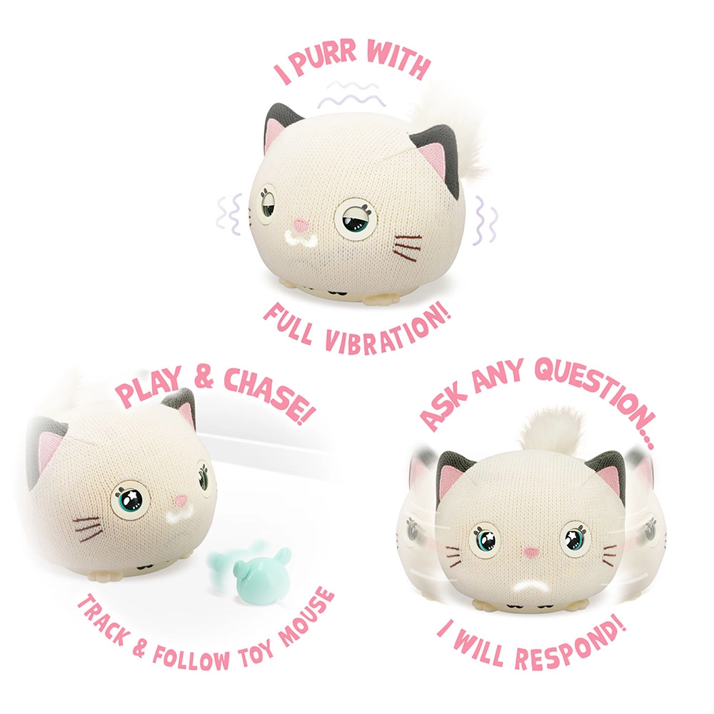Purro Teksta Kitty - 5 years+