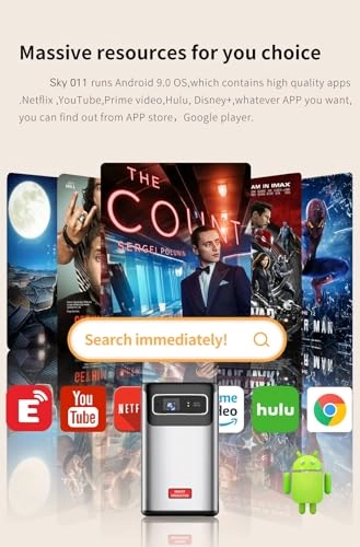 Sky011 300 ANSI Lumens