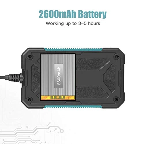 Dual Lens Inspection Camera - 3.9MM/5.5MM/8mm/14.5MM 1M/5M/10M/20M