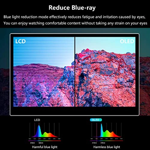 PI -X4 - FHD 1080P 13.3 Inch