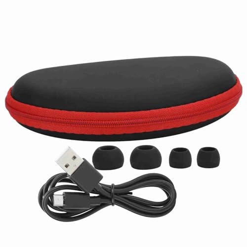 SX-991 Wireless Headphone