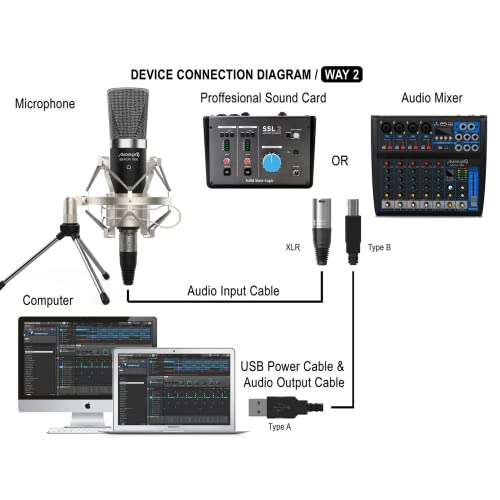 Berlin 1800 XLR Microphone