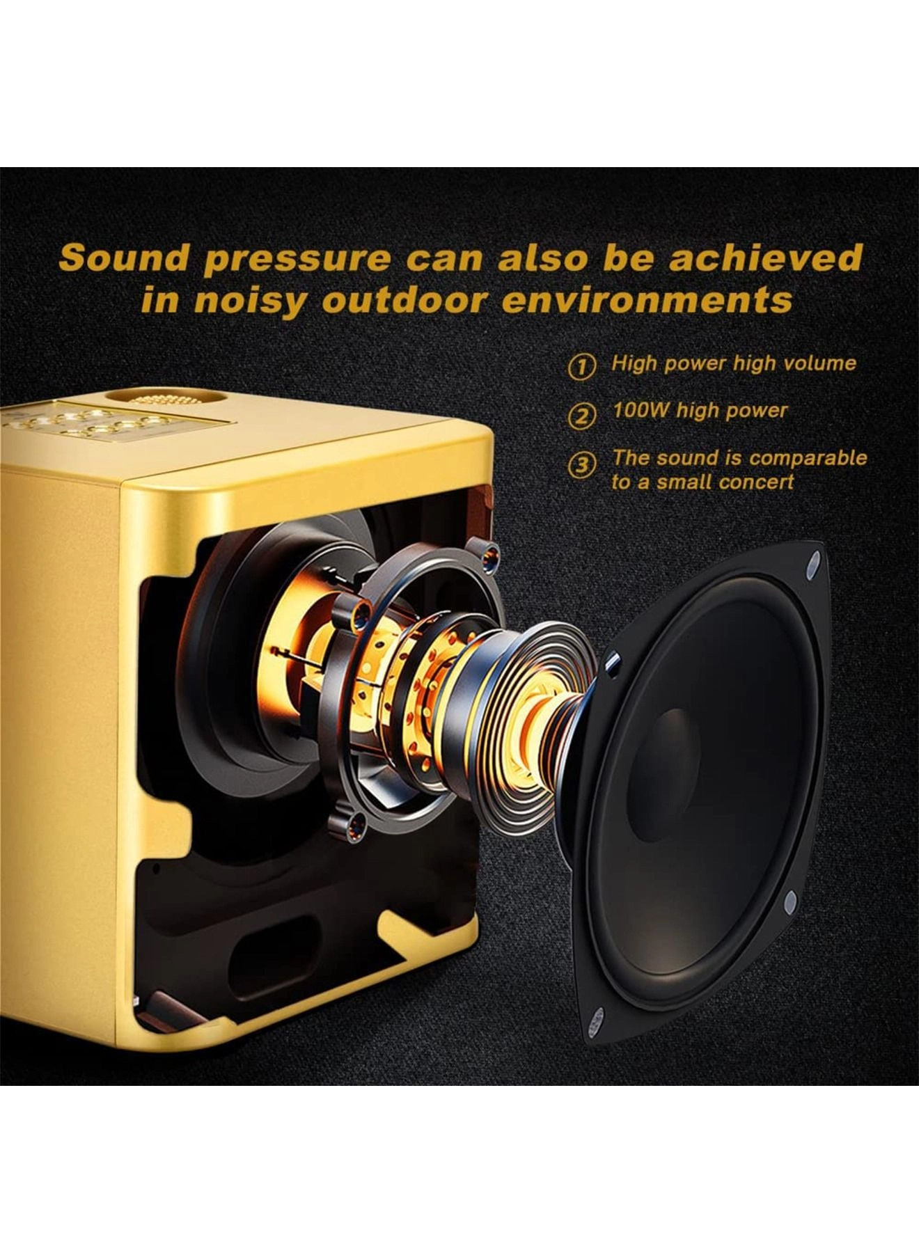 Portable Wireless Karaoke Microphone - two Y21 microphones