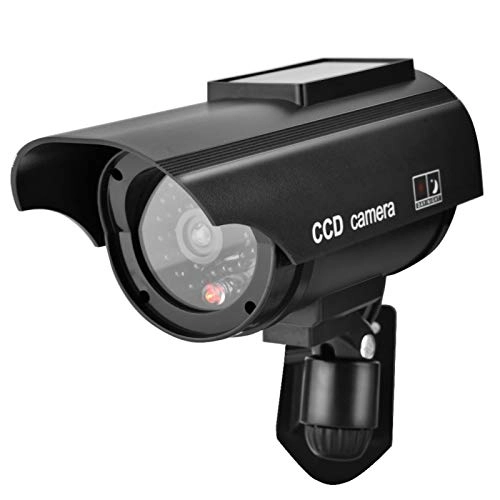 Dummy Camera - indoor and outdoor