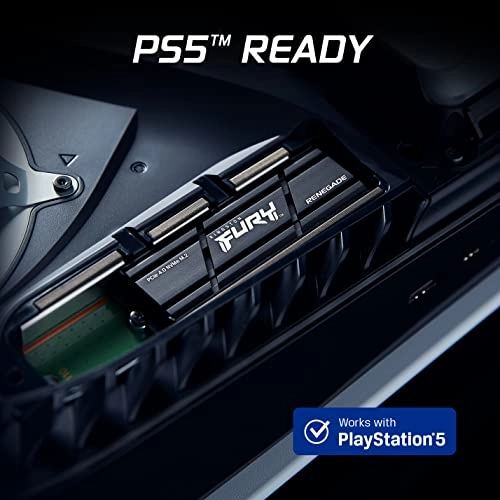FURY RENEGADE - 500 GB M.2 2280