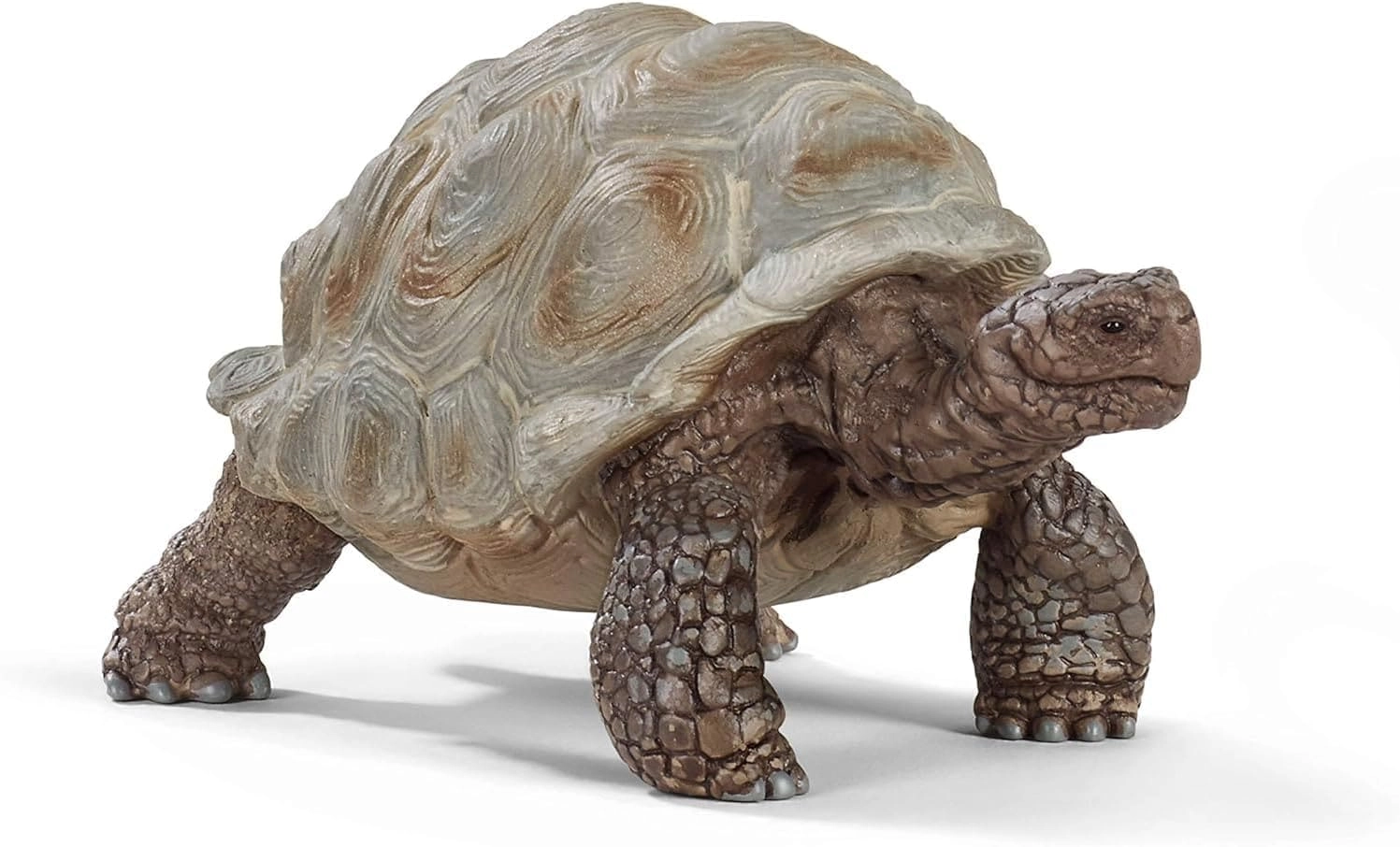 COLOR LAND CHILDRENS TOYS CENTER LLC Giant Tortoise