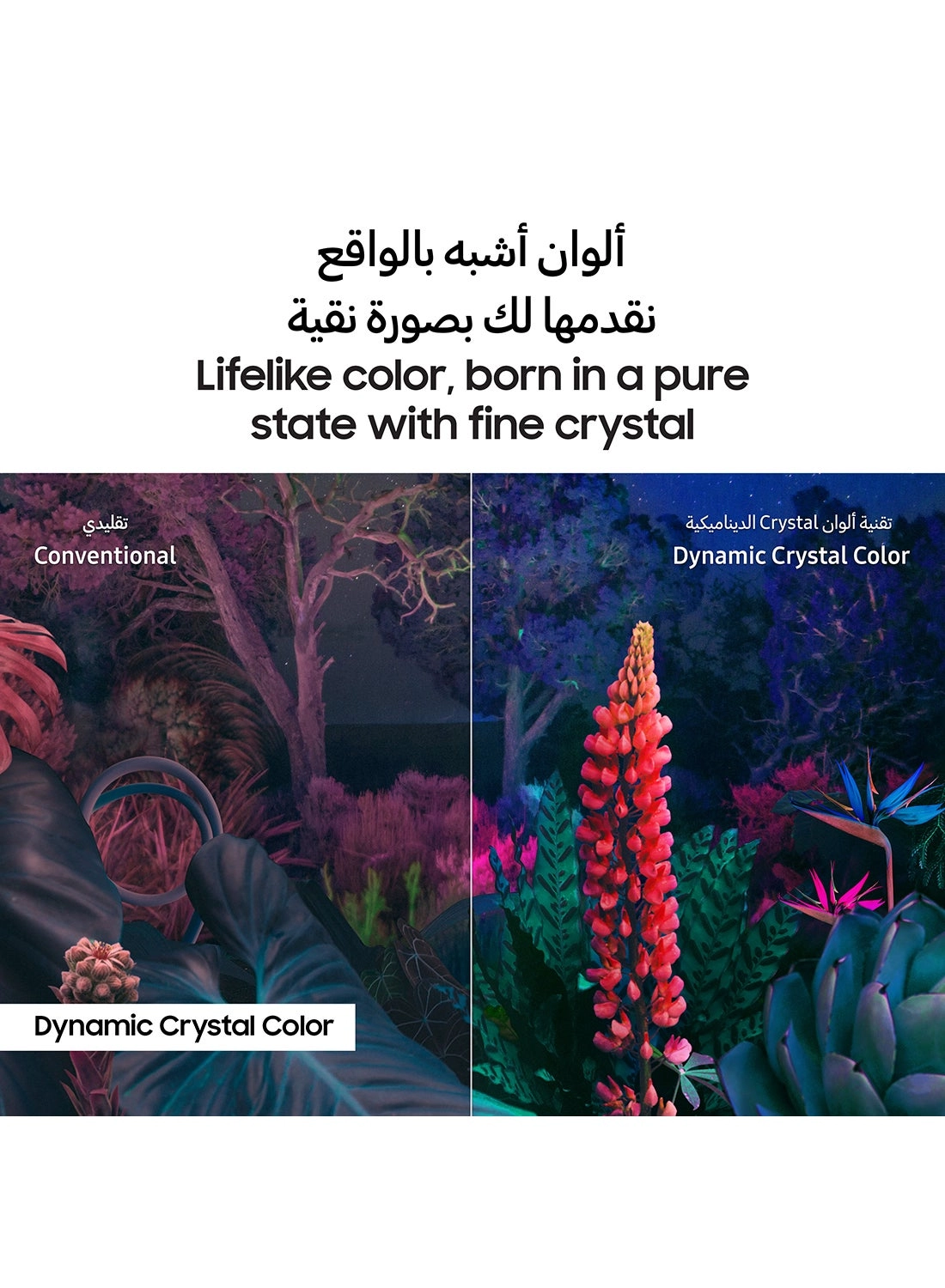 85CU8000 + THN322B - 85 inch