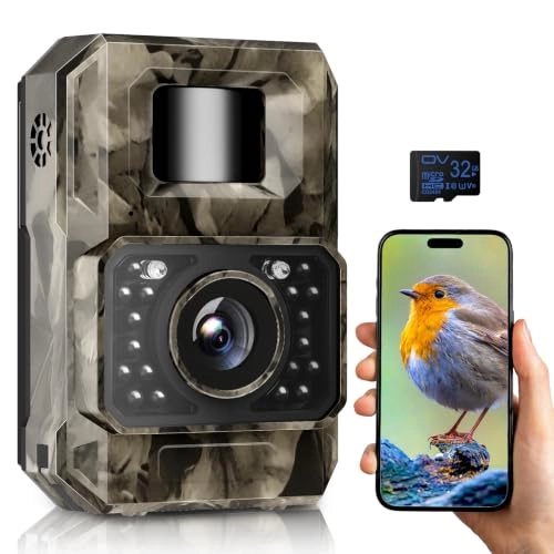 PH960W - 48MP