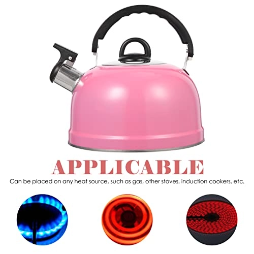 Stovetop Whistling Tea Kettle - Stainless Steel Pink