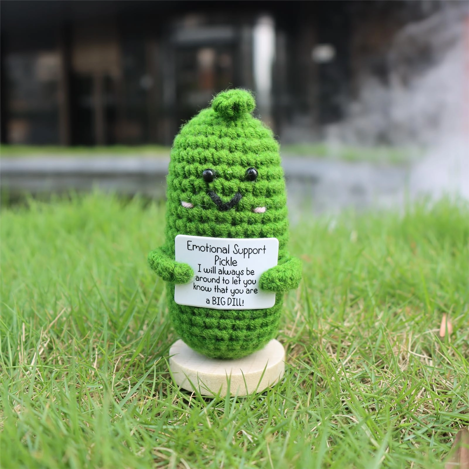 Nvwadayu Emotional Support Pickle - Birthday, Christmas, Friendship Day, Some special days, Various decorative occasions