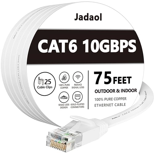 Cat 6 Ethernet Cable - 75ft