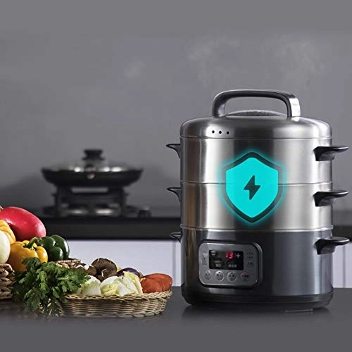 Electric Steamer - 10 Liters