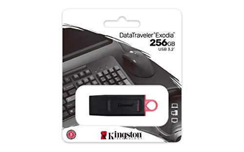 DataTraveler Exodia - 256 GB