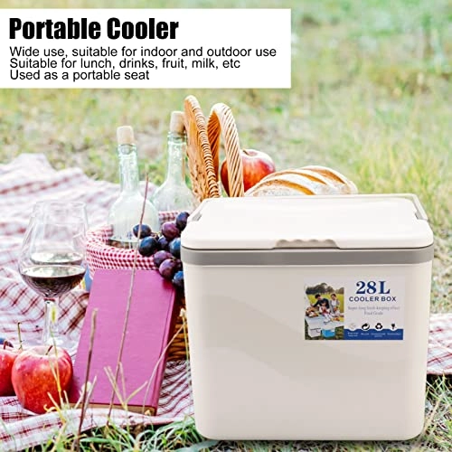 Portable Cooler - 28L