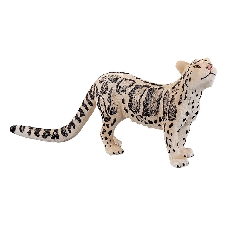 MZA STORES Clouded Leopard