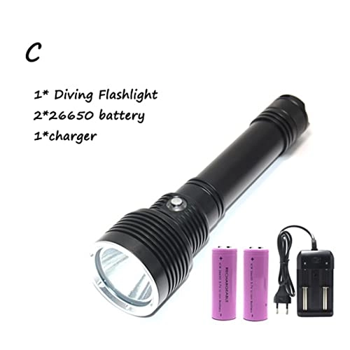Professional Submersible Light