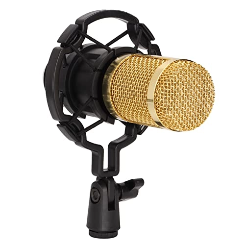 BM800 XLR Microphone