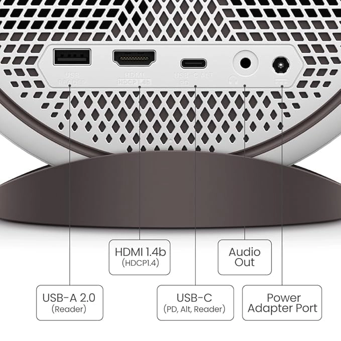 GV31 300 ANSI lumens