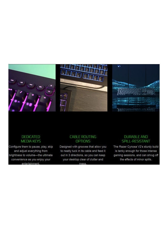 Cynosa V2 - 110 keys + 6 multimedia keys Wired