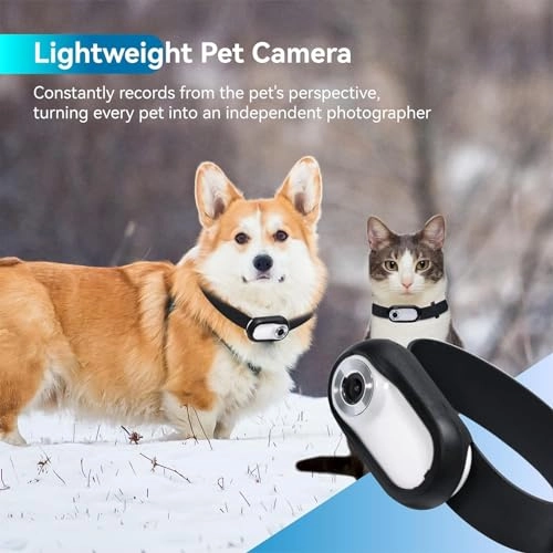 Cat Collar Camera