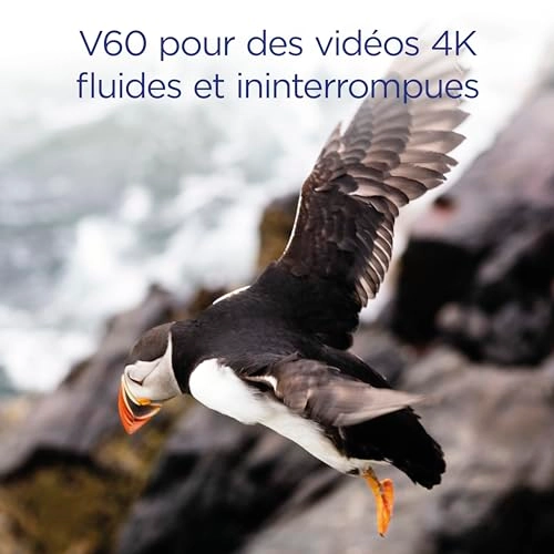 UHS-II SD Card - 1TB