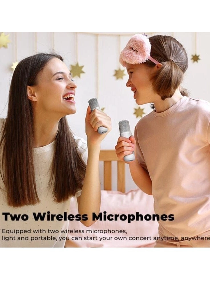 YS-203 - 2 wireless microphones