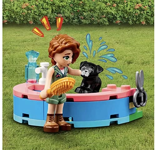 Friends Dog Rescue Centre (41727)