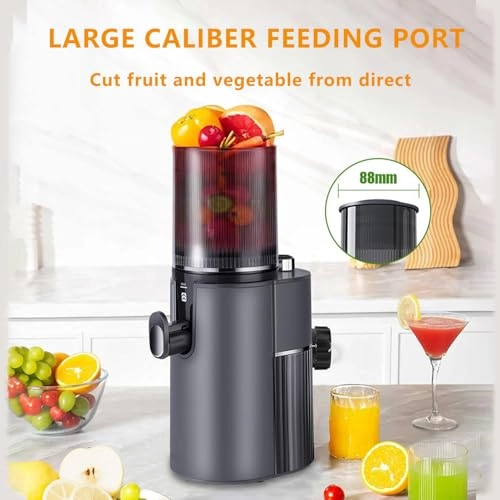 Masticating Juicer - 350W