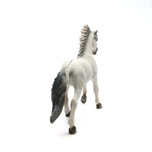 Sorraia Mustang Stallion - 48.0 36
