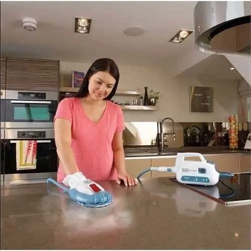 SteaMitt Handheld Steam Cleaner - 0.1 liters