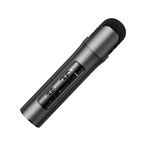 8066625752 USB+3.5mm-Mini-Jack+Wireless Microphone