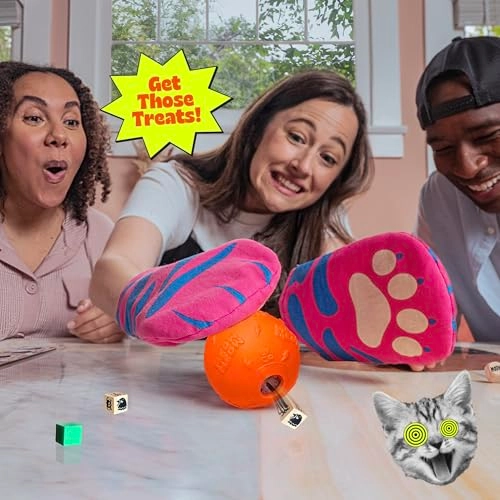 Cat Mitt Game - English 7 years and up