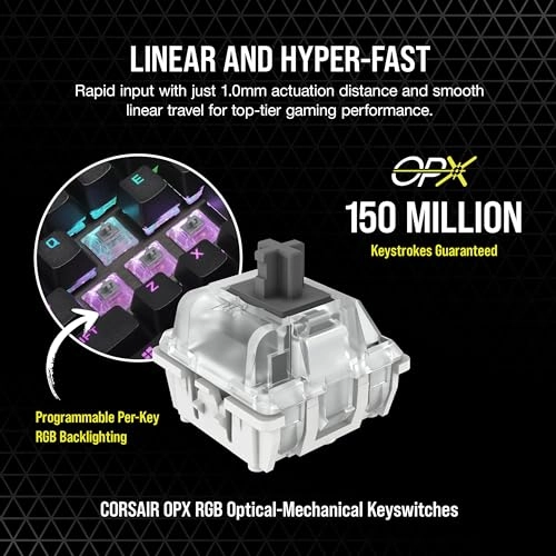 K70 RGB TKL - FR Wired