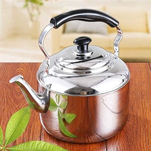 Stovetop Induction Whistling Kettle - 5L
