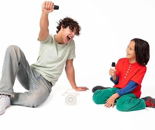 PARTYMIC2WH USB Microphone